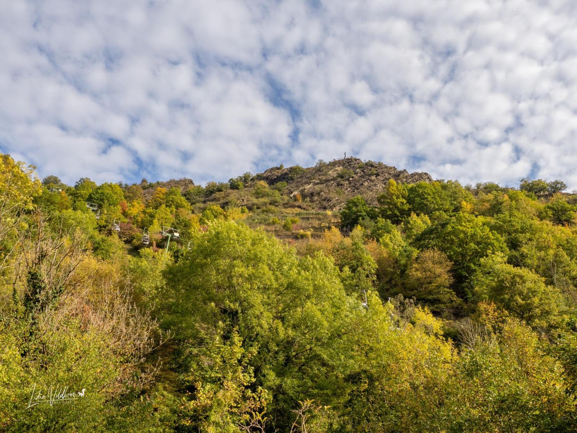 Pension Lange Cochem Exterior foto